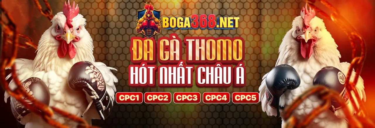Đấu trường đá gà kịch tính tại 79win link vào